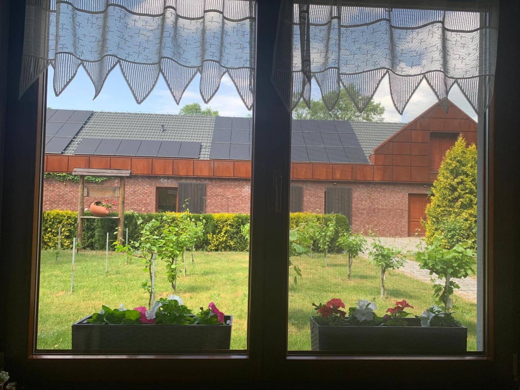 Winnica De Sas Krosnice Exterior photo